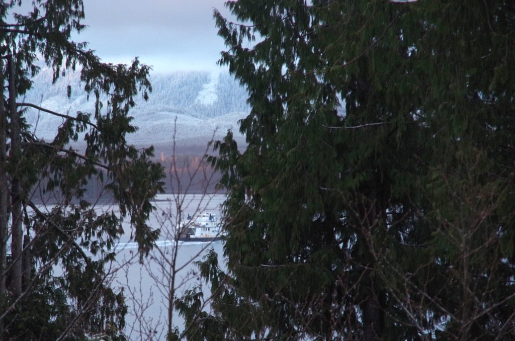 ferry through trees